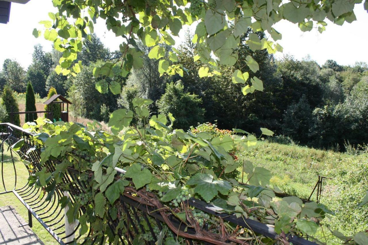 Wimika Villa Kowalowy Bagian luar foto